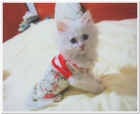 小寶的第一件衣服